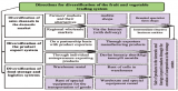 WAYS OF DEVELOPING A SYSTEM FOR DELIVERING PRODUCTS TO CONSUMERS IN INTENSIVE HORTICULTURE